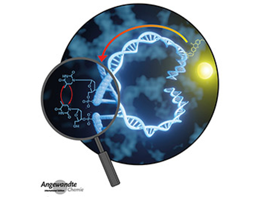 Angewandte Chemie 40/2020: Sustainable Processes