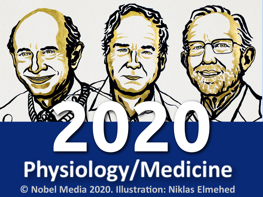 Nobel Prize in Physiology or Medicine 2020