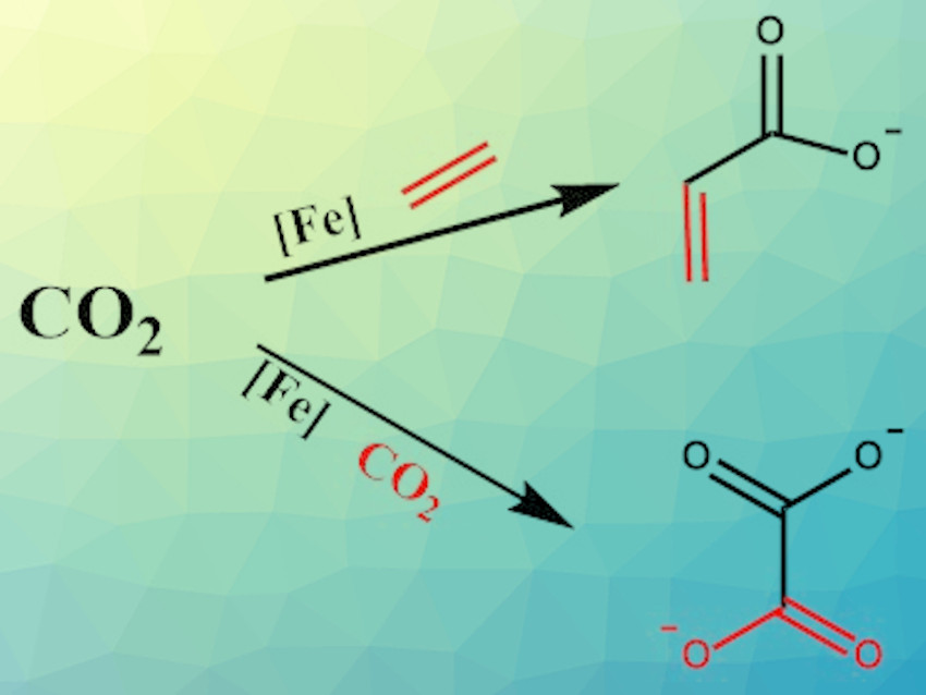 Oxalate and Acrylate from CO2