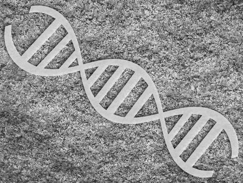 Neanderthal Genes Associated with Higher Risk of Severe COVID-19