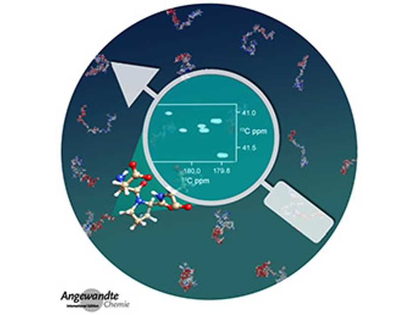 Angewandte Chemie 42/2020: Crosslinks