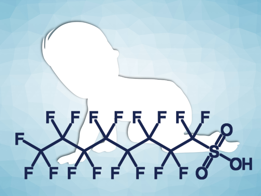 Per- and Polyfluoroalkyl Substances in Breast Milk