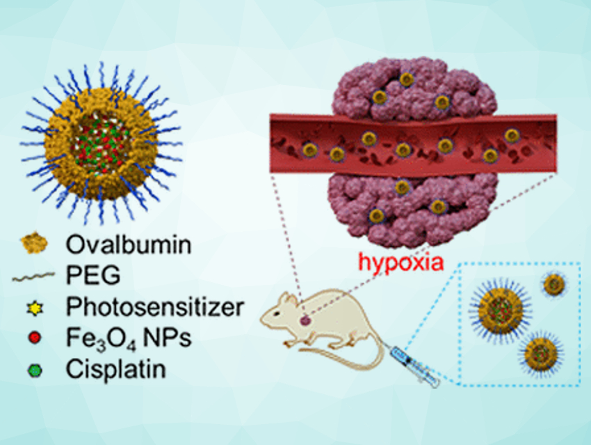 Combination Therapy against Cancer