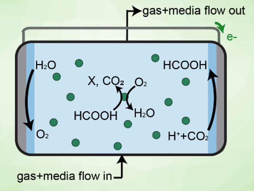 Microbial Electrosynthesis Analyzed