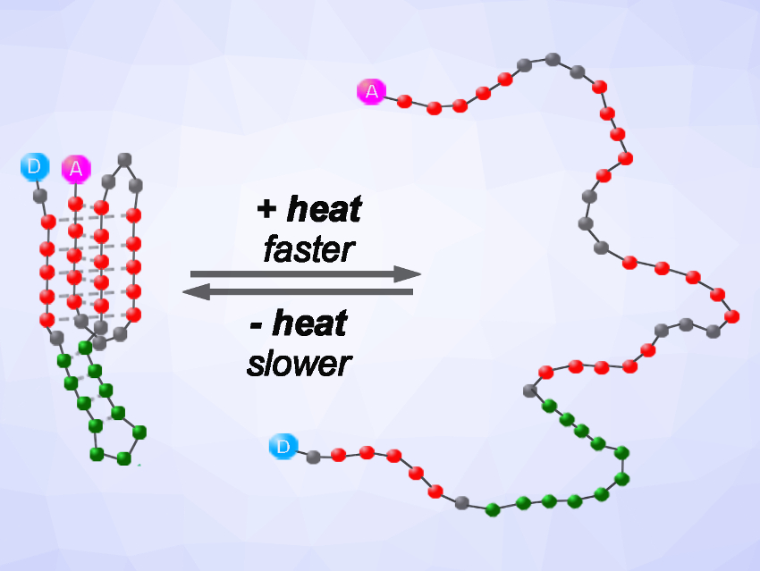 Molecular Calorimeters