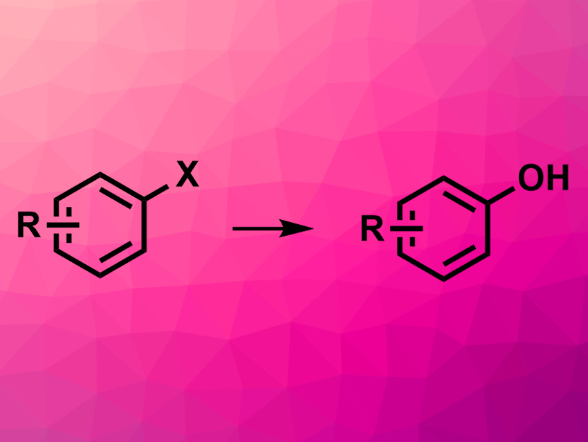 Aryl Halides Converted to Phenols Using Boric Acid