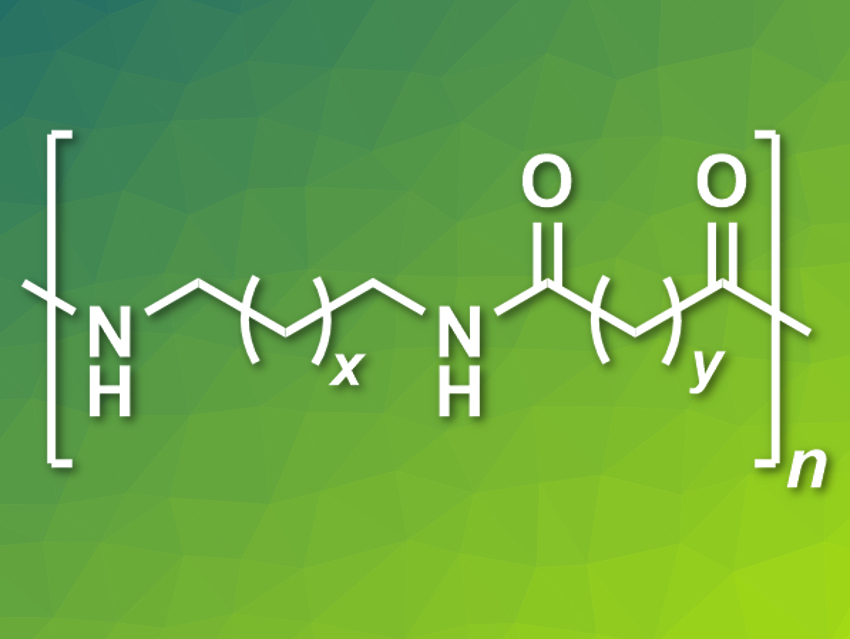 Microwave-Assisted Chemical Recycling of Polyamides