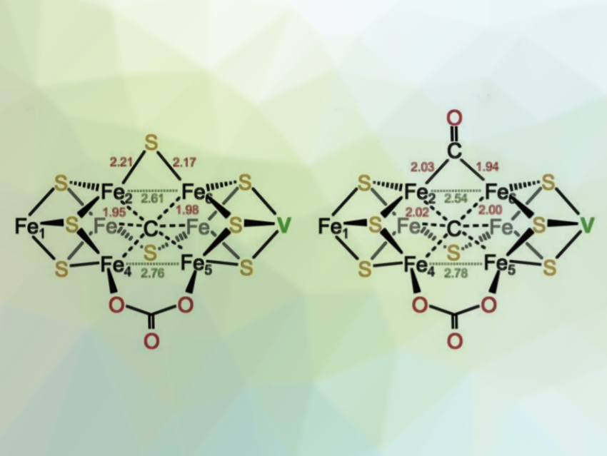 Vanadium Nitrogenase at Atomic Resolution