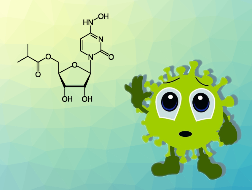 How Molnupiravir Causes SARS-CoV-2 to Mutate and Die