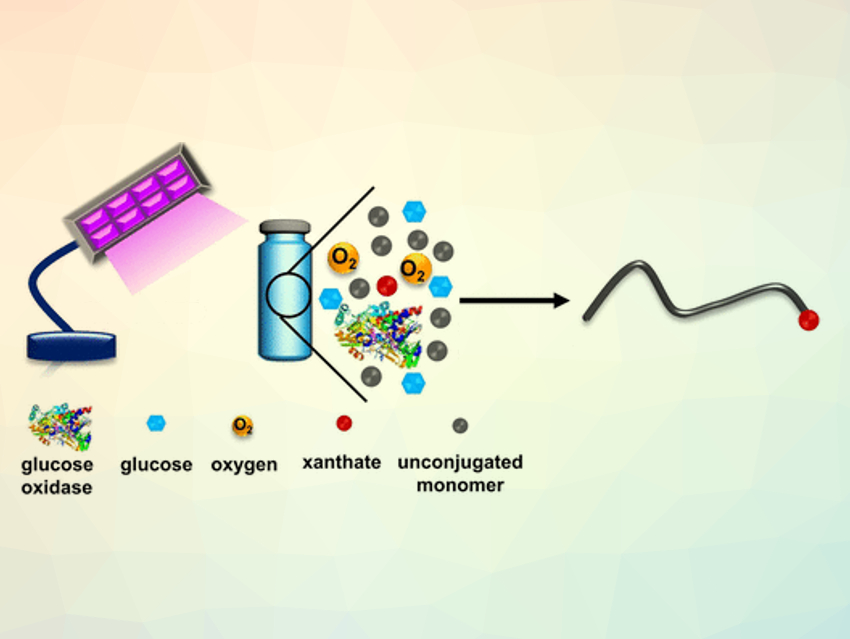 Ultraheavy Precision Polymers