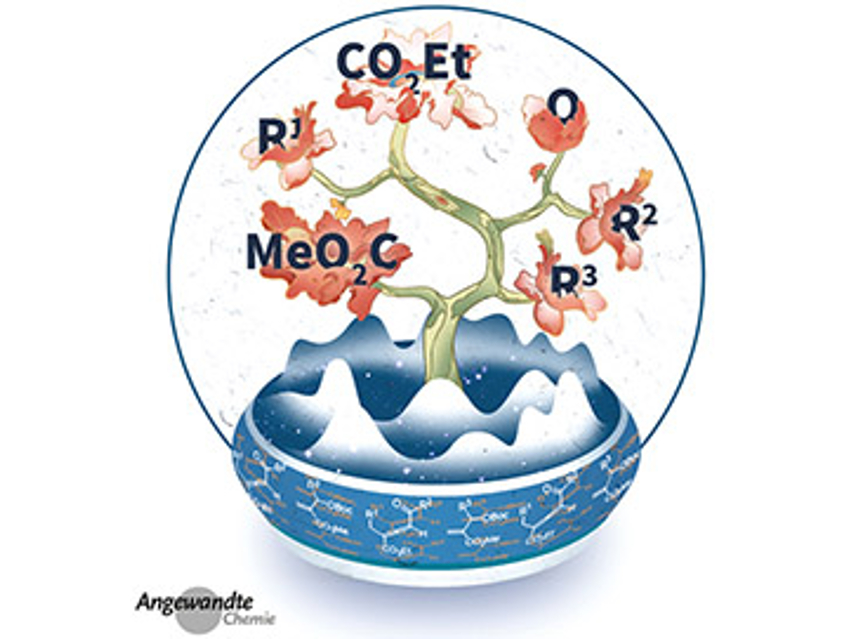 Angewandte Chemie 45/2020: Overcoming Barriers