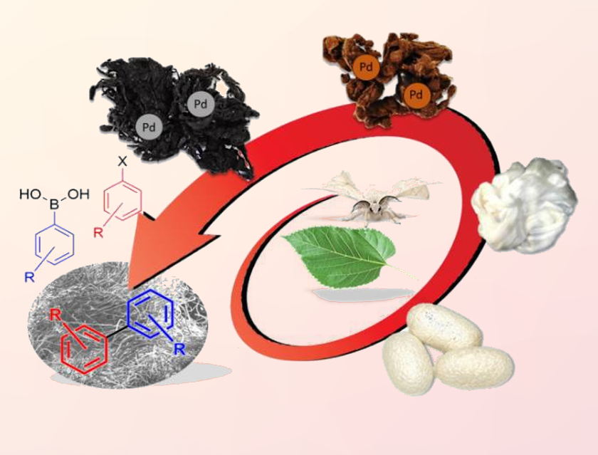 Silk-Supported Pd Catalyst for Cross-Coupling Reactions