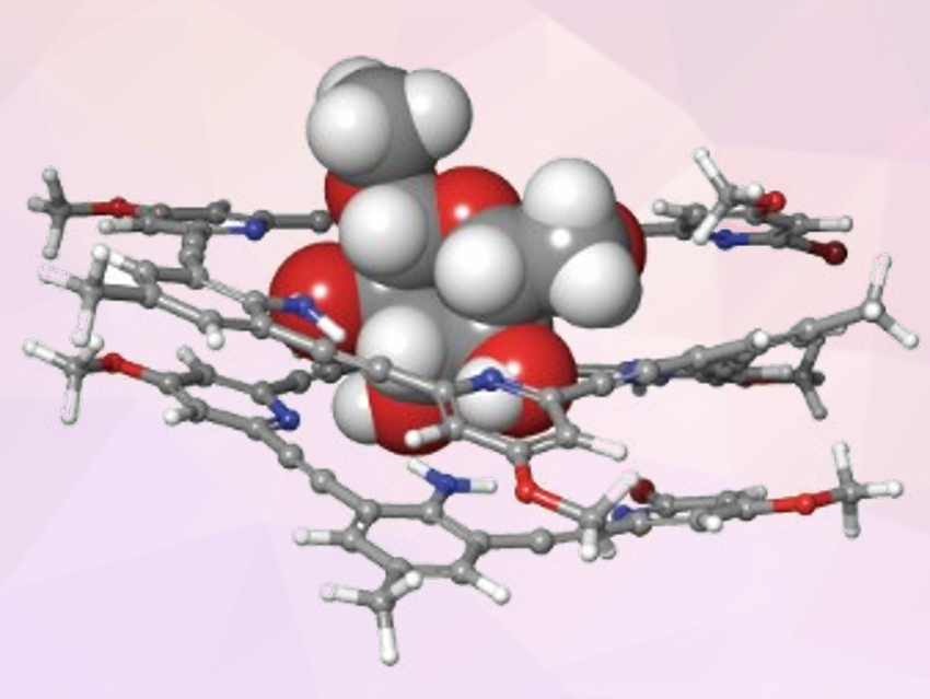 Foldamer for Saccharide Recognition