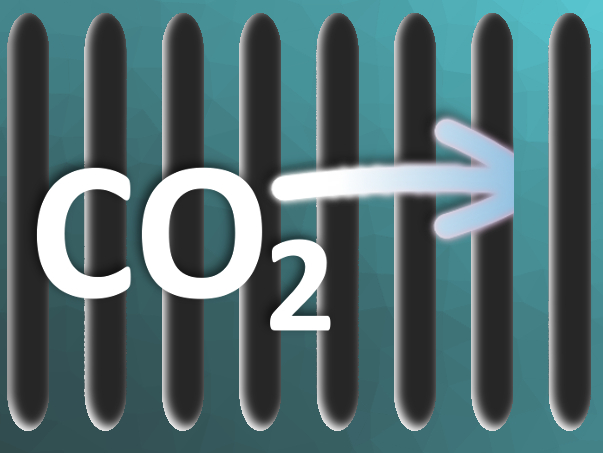 Slit-Shaped Micropores for CO2 Capture