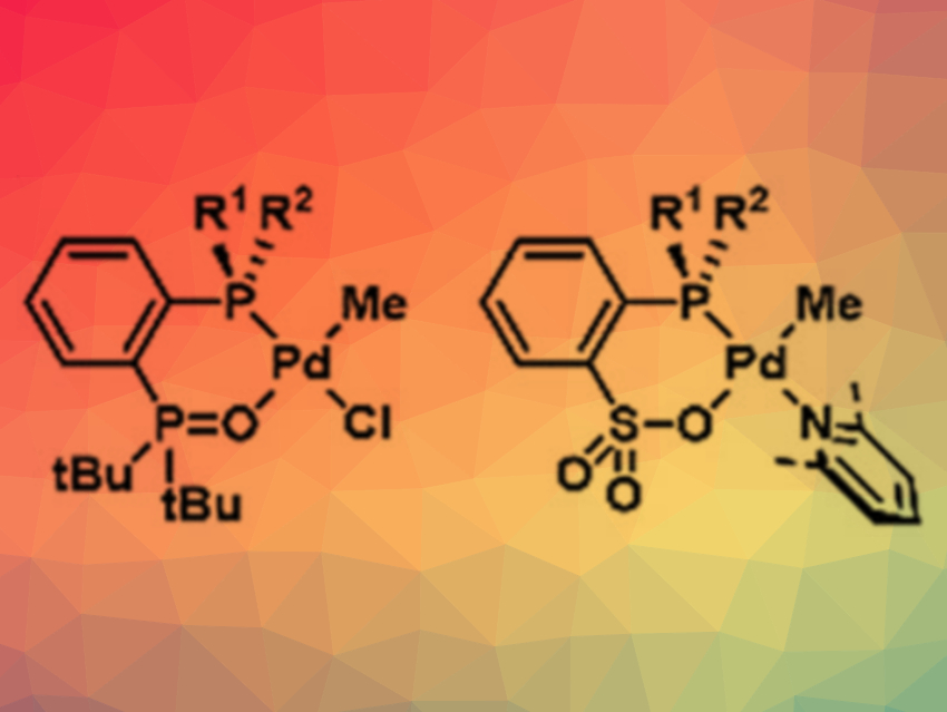 Catalysts for Isotactic Polar Polypropylenes