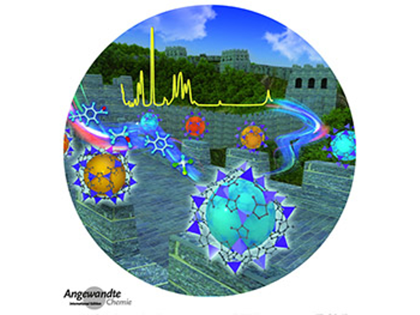 Angewandte Chemie 46/2020: Candidates