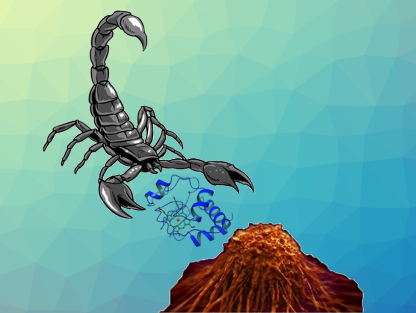 From Scorpion Venom to Fighting Brain Tumors