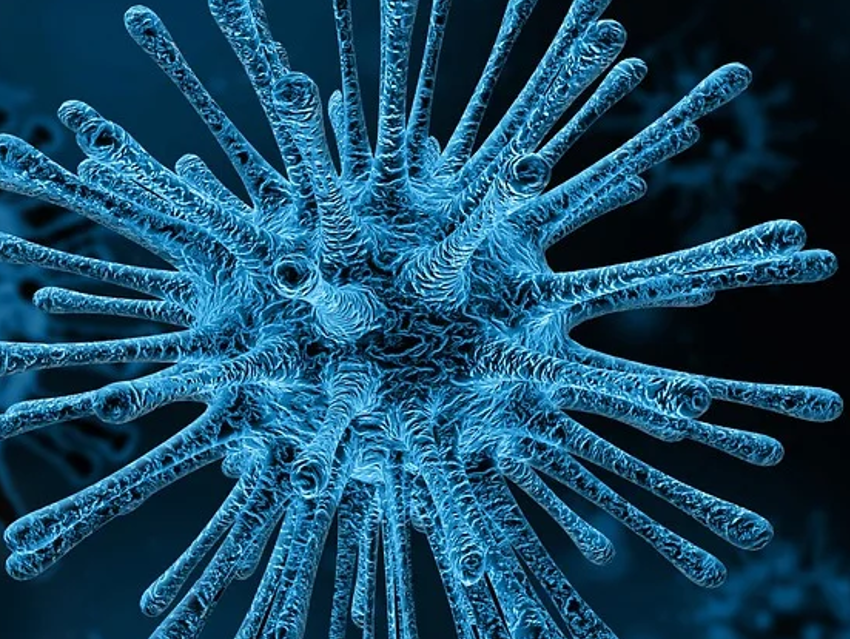 Structure of a Key Coronavirus Protein Determined