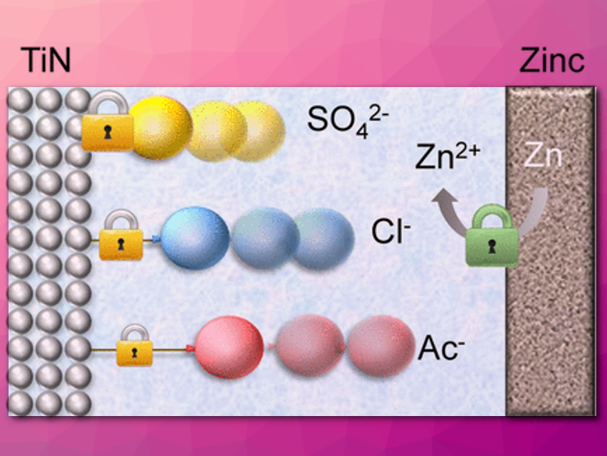 Anions Matter