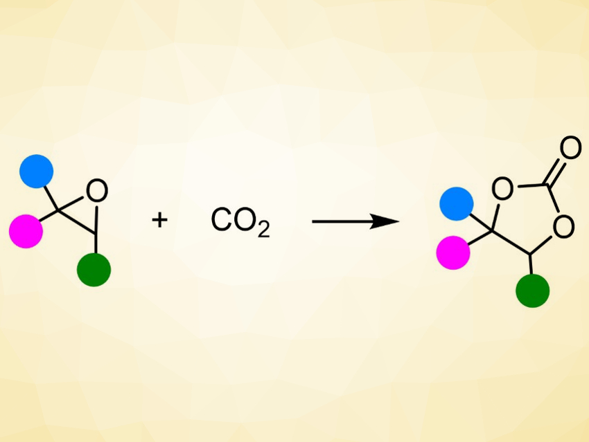 Fixation of CO2 with Epoxides