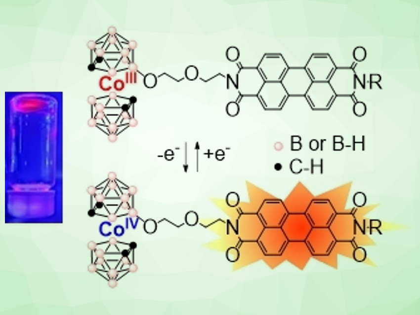 Metallacarborane‐Emitter Conjugates