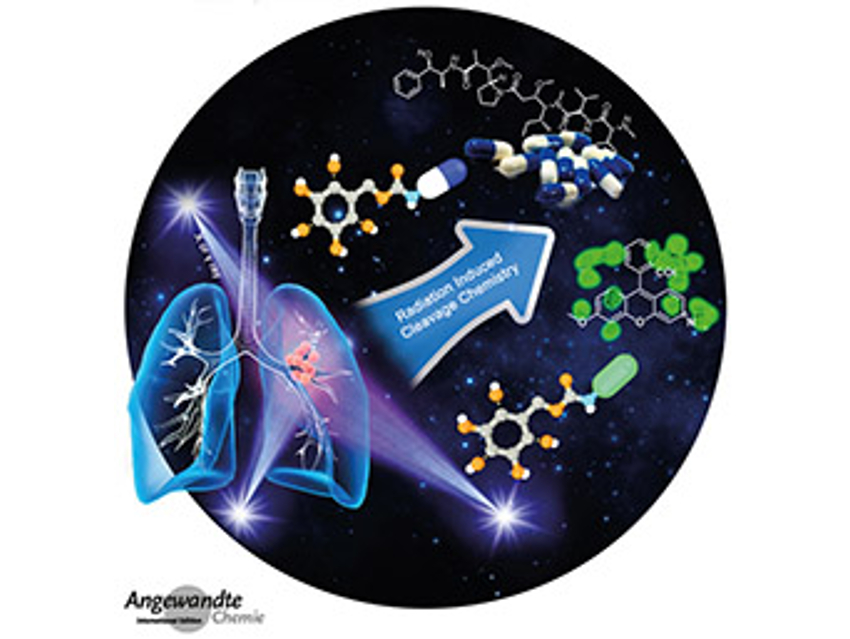 Angewandte Chemie 48/2020: High Performance