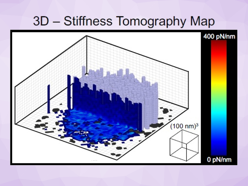 Structure of Ultra‐Soft Nanogels Investigated