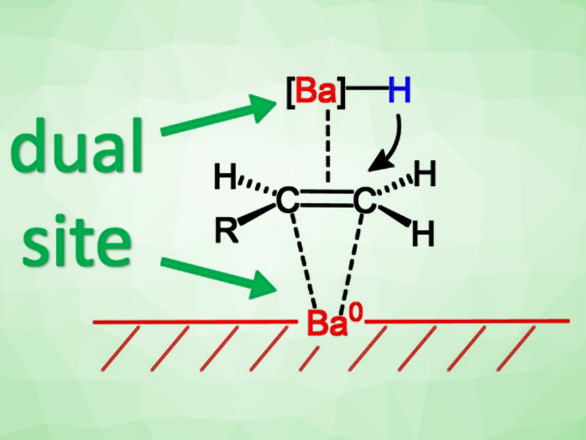 Barium Metal as a Highly Active Hydrogenation Catalyst