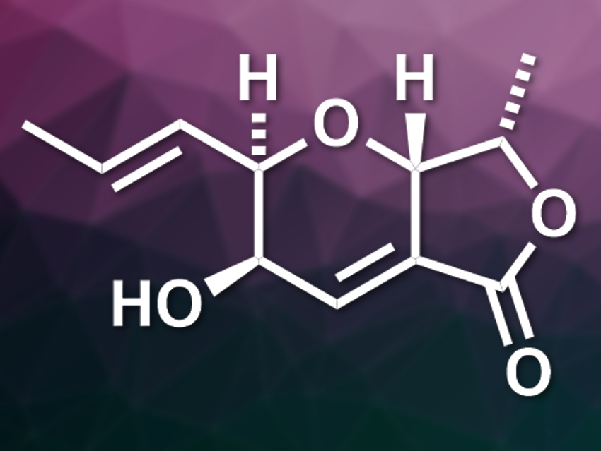 First Total Synthesis of (−)-TAN-2483B