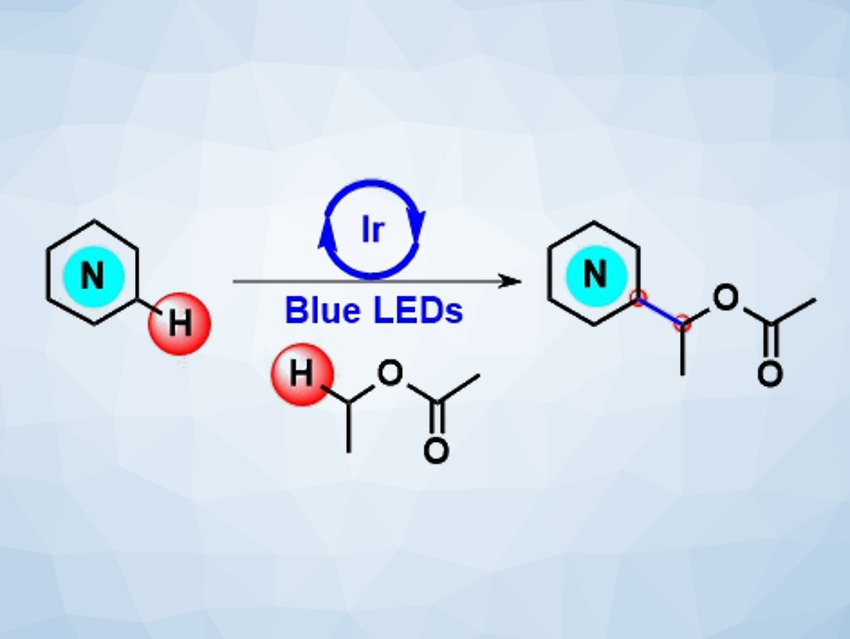 Photoredox Alkylation of Heteroarenes Using Ethyl Acetate