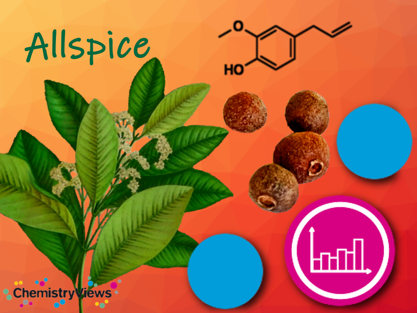 Allspice Chemistry