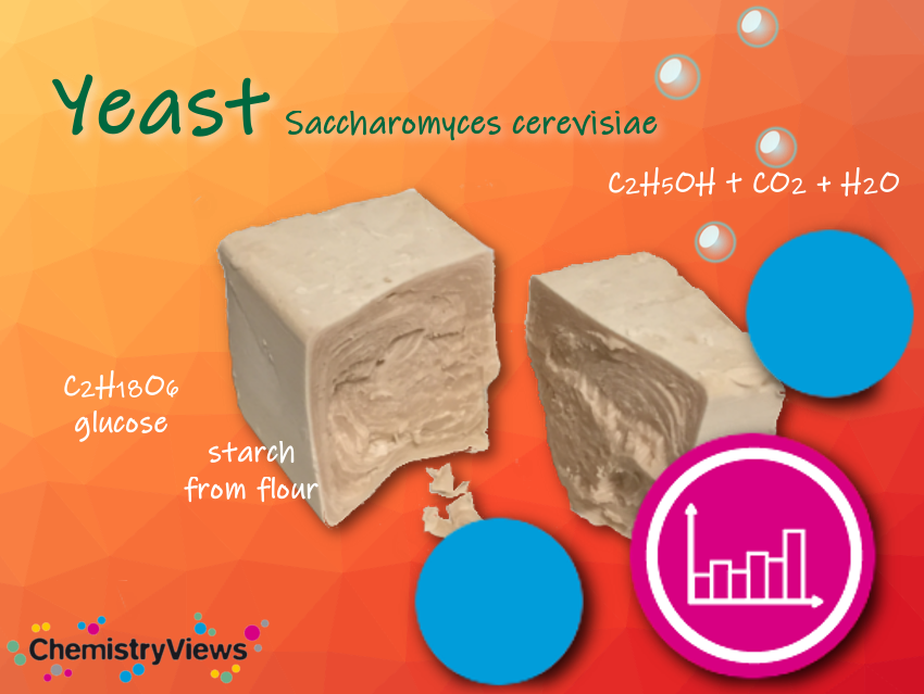 Yeast Chemistry