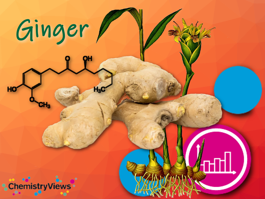 Ginger Chemistry