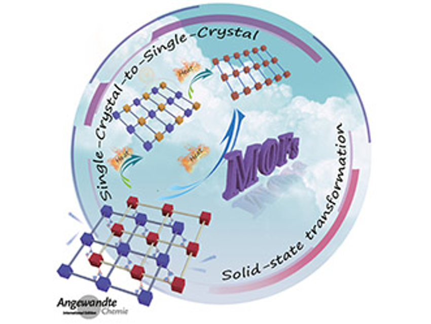 Angewandte Chemie 50/2020: Harnessing the Power