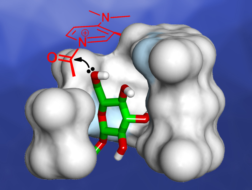 Aromatic Helical Foldamers as Nucleophilic Catalysts