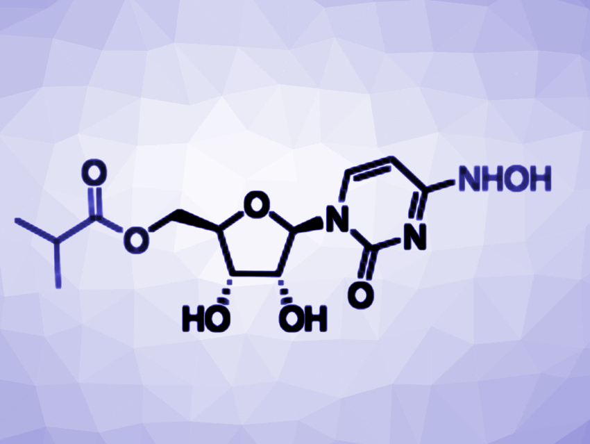 Oral Drug Blocks SARS-CoV-2 Transmission in Ferrets