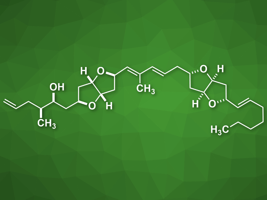 First Total Synthesis of Amphirionin-2