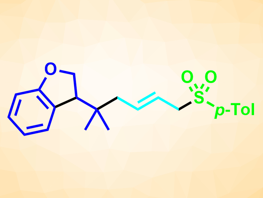 Palladium-Catalyzed, Three-Bond Forming Cascade