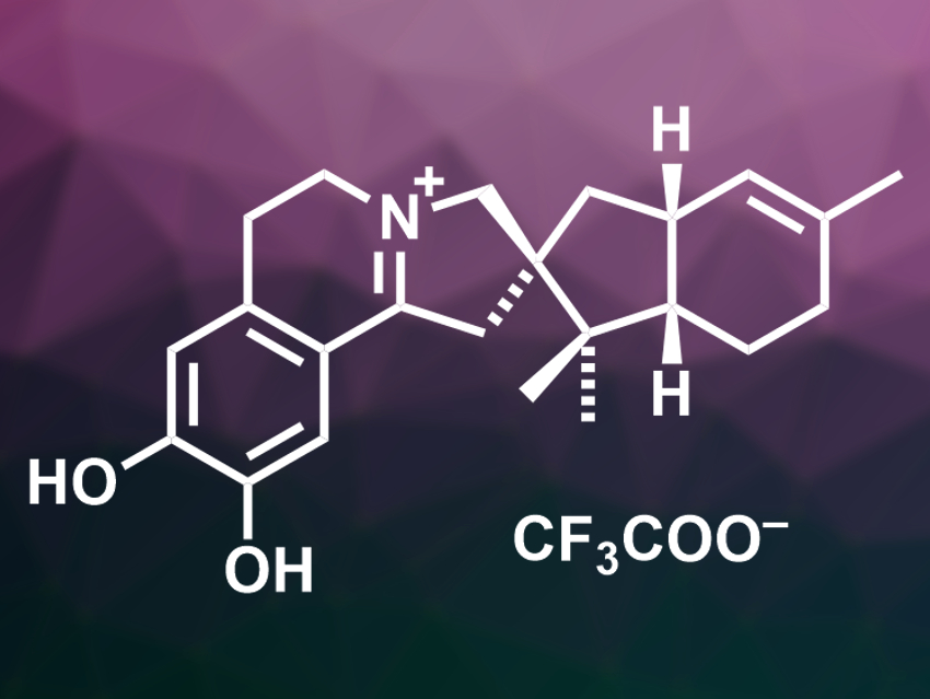 Citronamine A Isolated from Marine Sponge