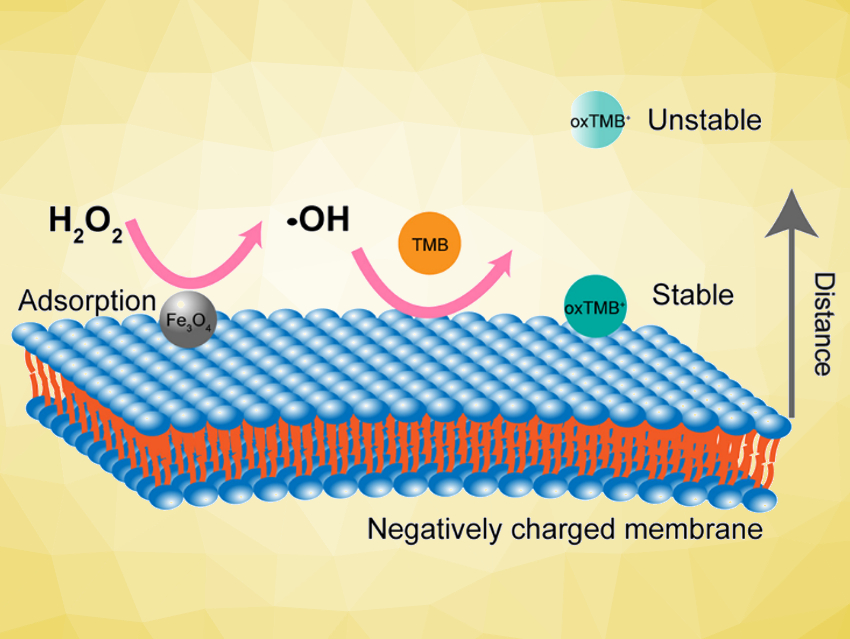 Liposome-Promoted Nanozyme Activity