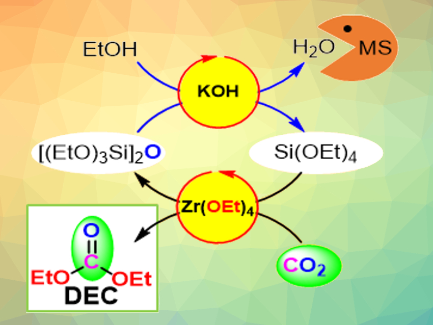 Sustainable Synthesis of Diethyl Carbonate from CO2