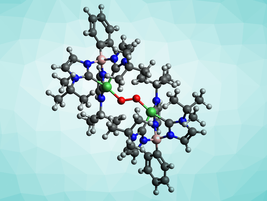 Unusual High-Valent Nickel–Peroxo Complex