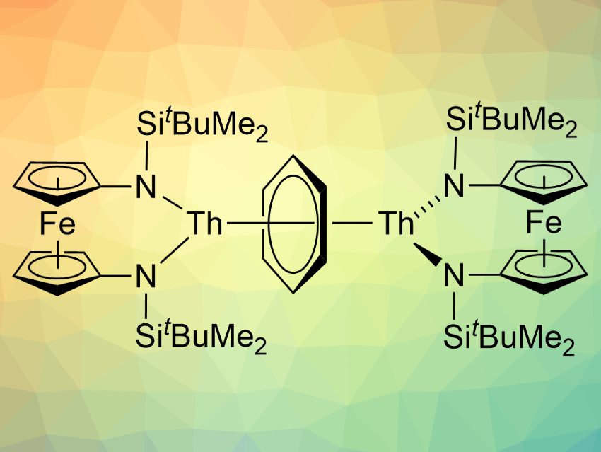 Arene-Bridged Dithorium Complexes