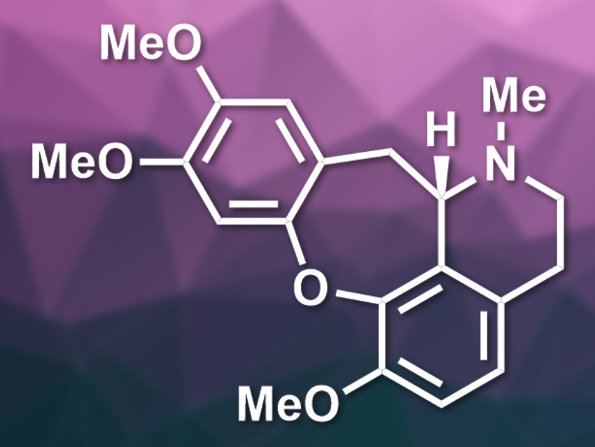 Total Synthesis of (S)‑Cularine