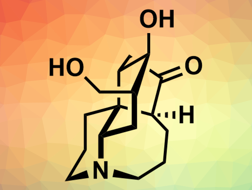 Total Synthesis of Lyconesidine B