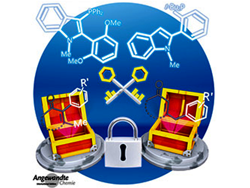 Angewandte Chemie 52/2020: Looking Out