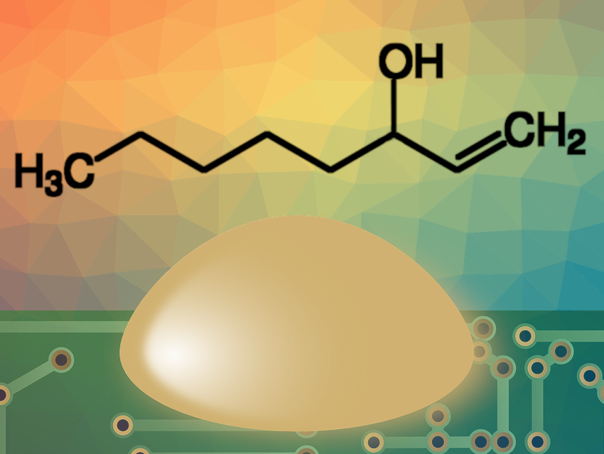 Highly Sensitive, Biobased Detectors for Volatile Organic Compounds