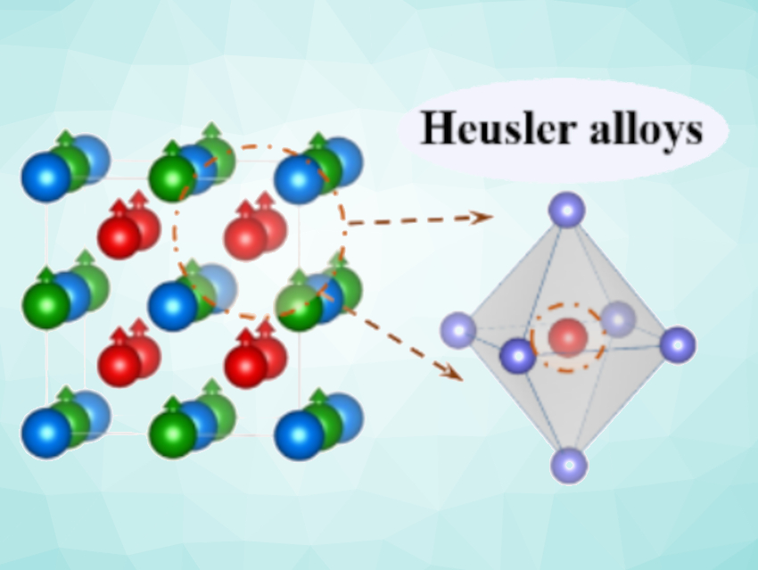 Heusler Alloys in the Oxygen Evolution Reaction