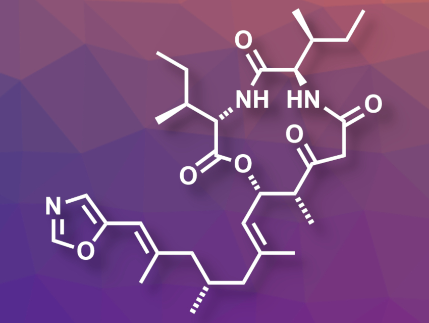 Asymmetric Total Synthesis of (+)-Taumycin A