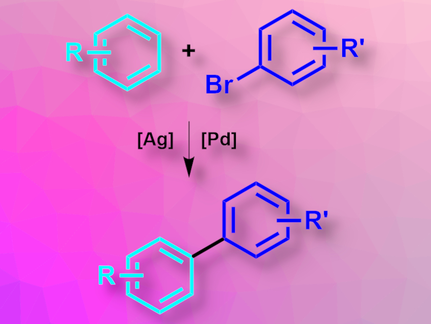 Direct Arylation of Simple Arenes Using Synergistic Ag and Pd Catalysis
